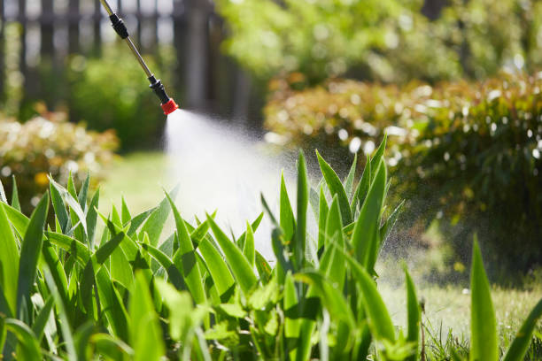 24/7 Emergency Mosquito Control experts in Abilene, TX